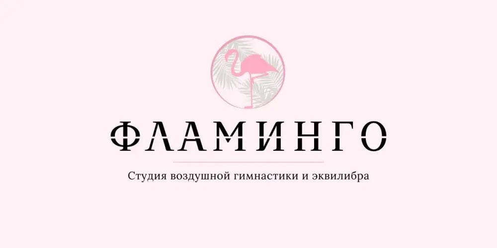 Студия воздушной гимнастики и эквилибра "Фламинго"