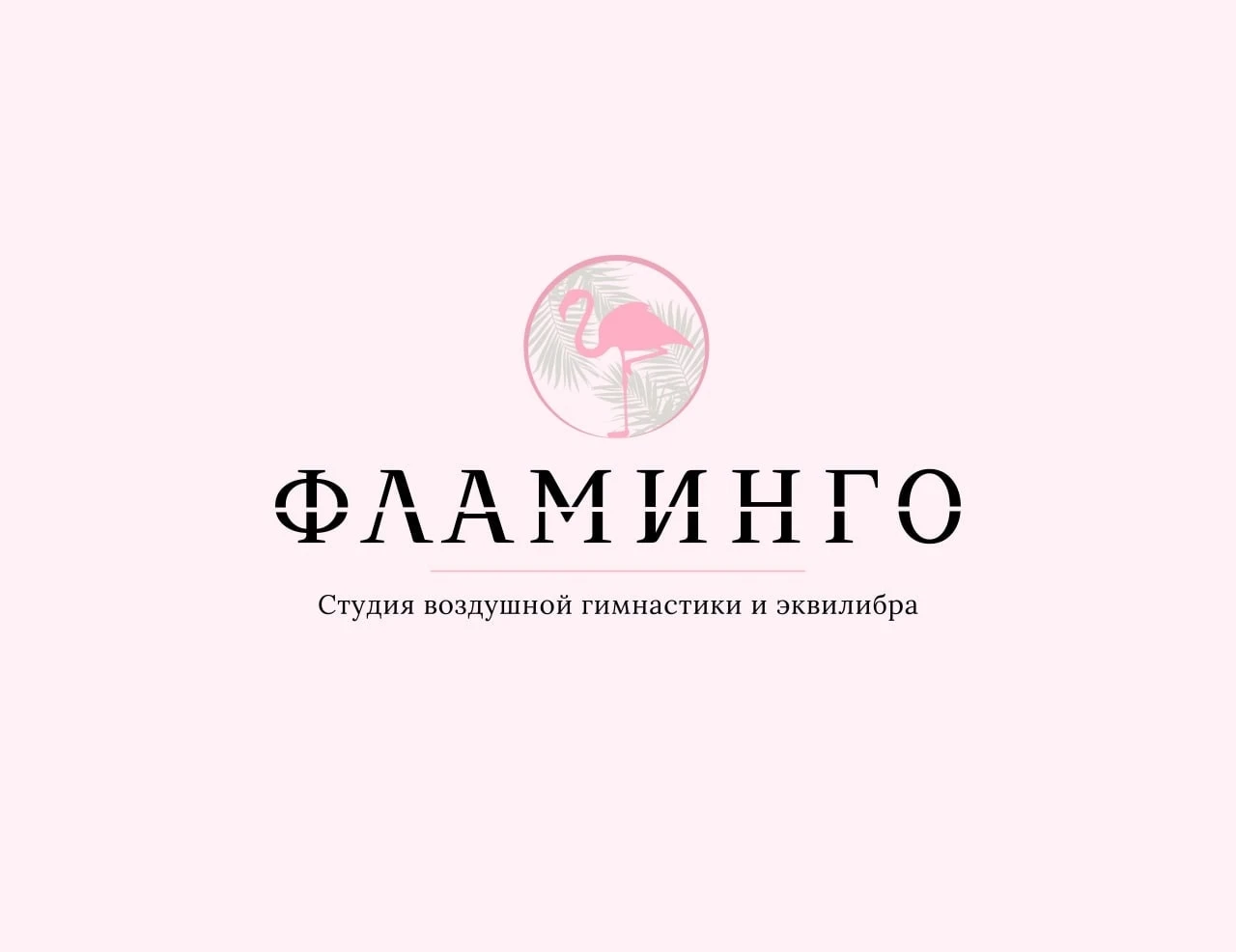 Студия воздушной гимнастики и эквилибра "Фламинго"