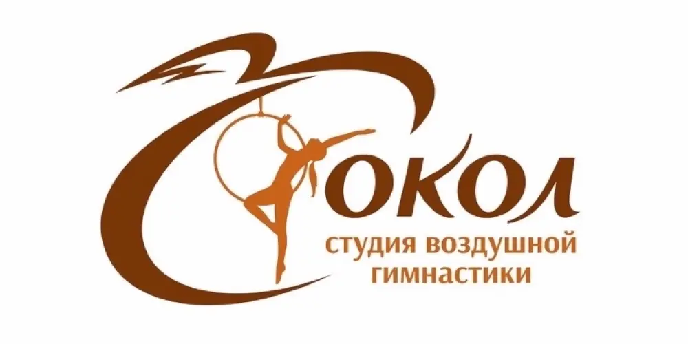 Студия воздушной гимнастики "Сокол"