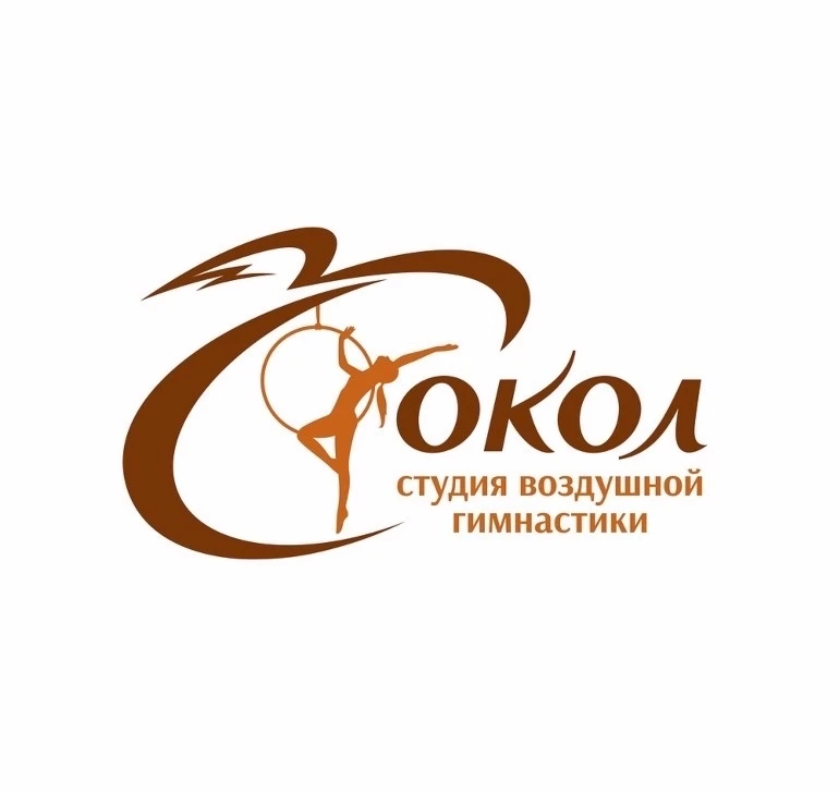 Студия воздушной гимнастики "Сокол"