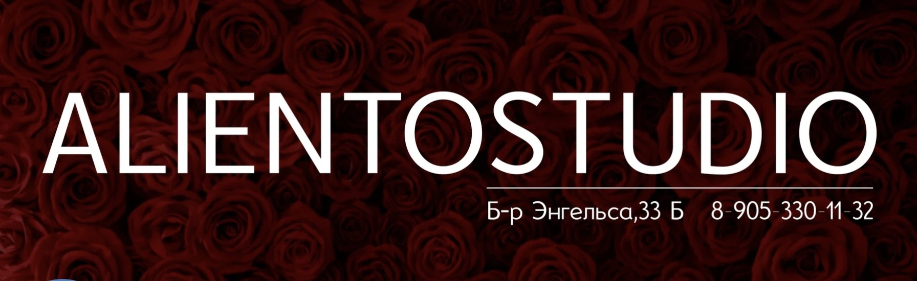 Студия воздушной гимнастики, танцев и растяжки "Alientostudio"