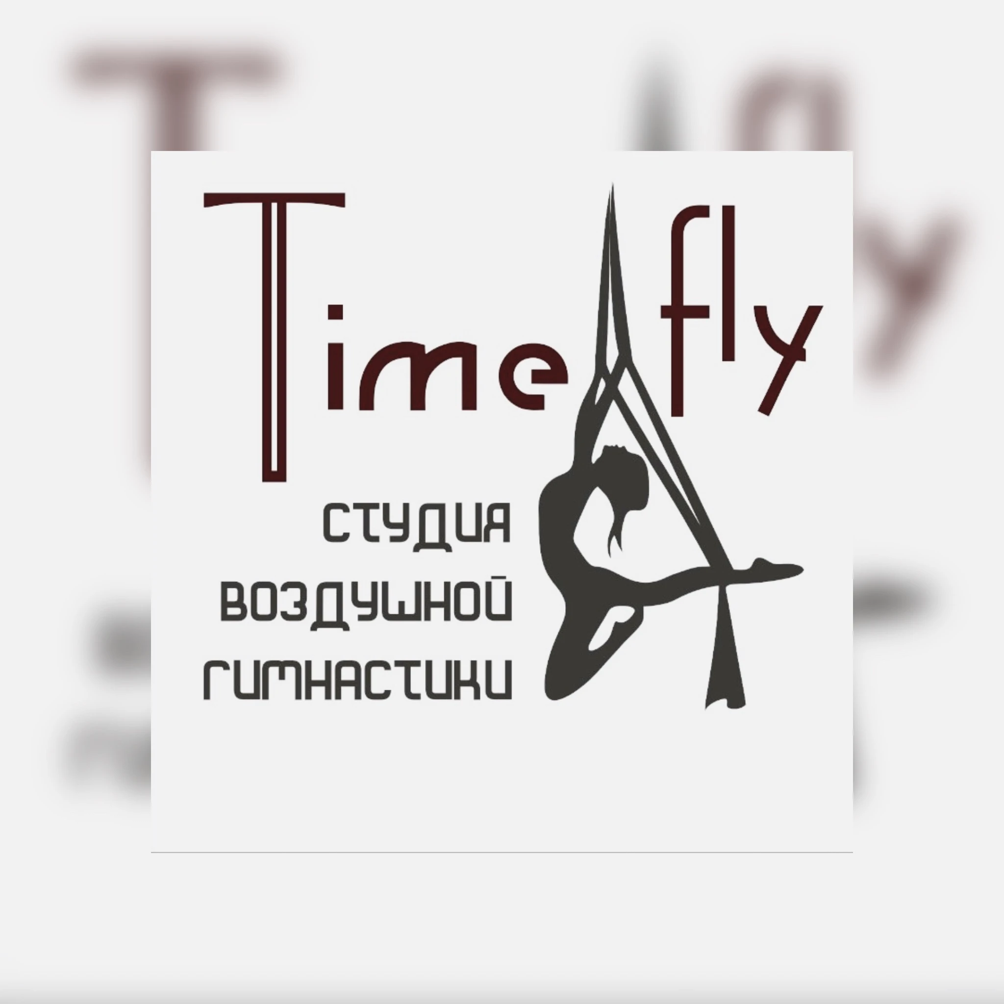 Судия воздушной гимнастики и йоги "Time fly"